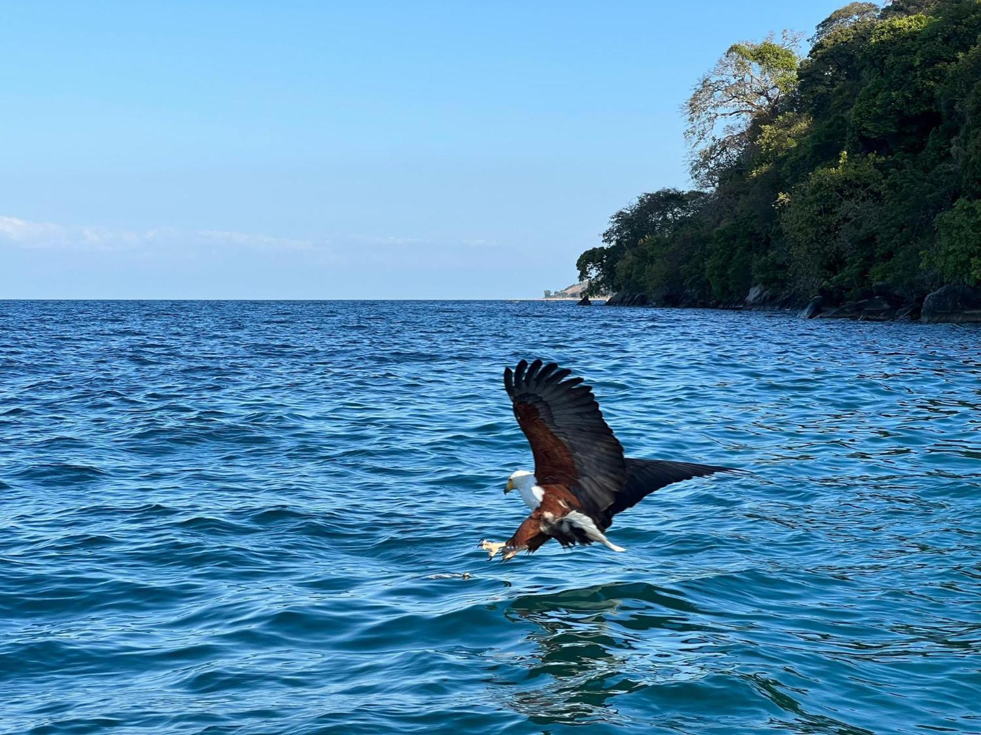 Butterfly Space- A Non-Profit Eco-Lodge Nkhata Bay Esterno foto