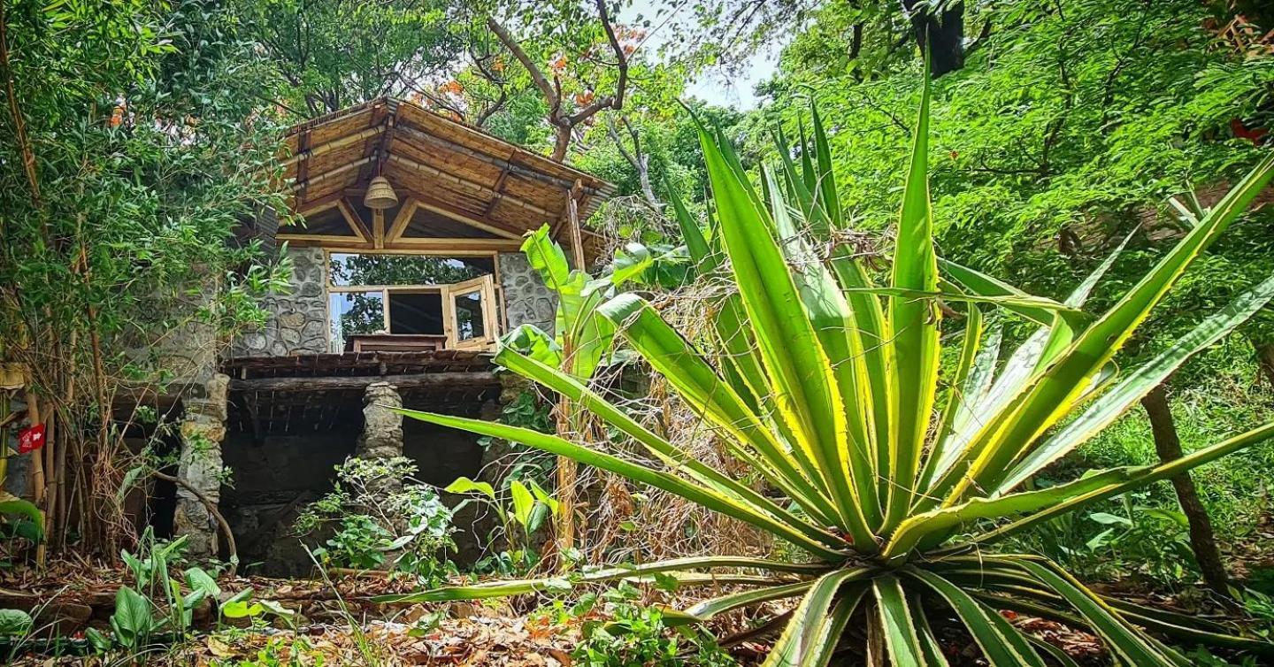 Butterfly Space- A Non-Profit Eco-Lodge Nkhata Bay Esterno foto