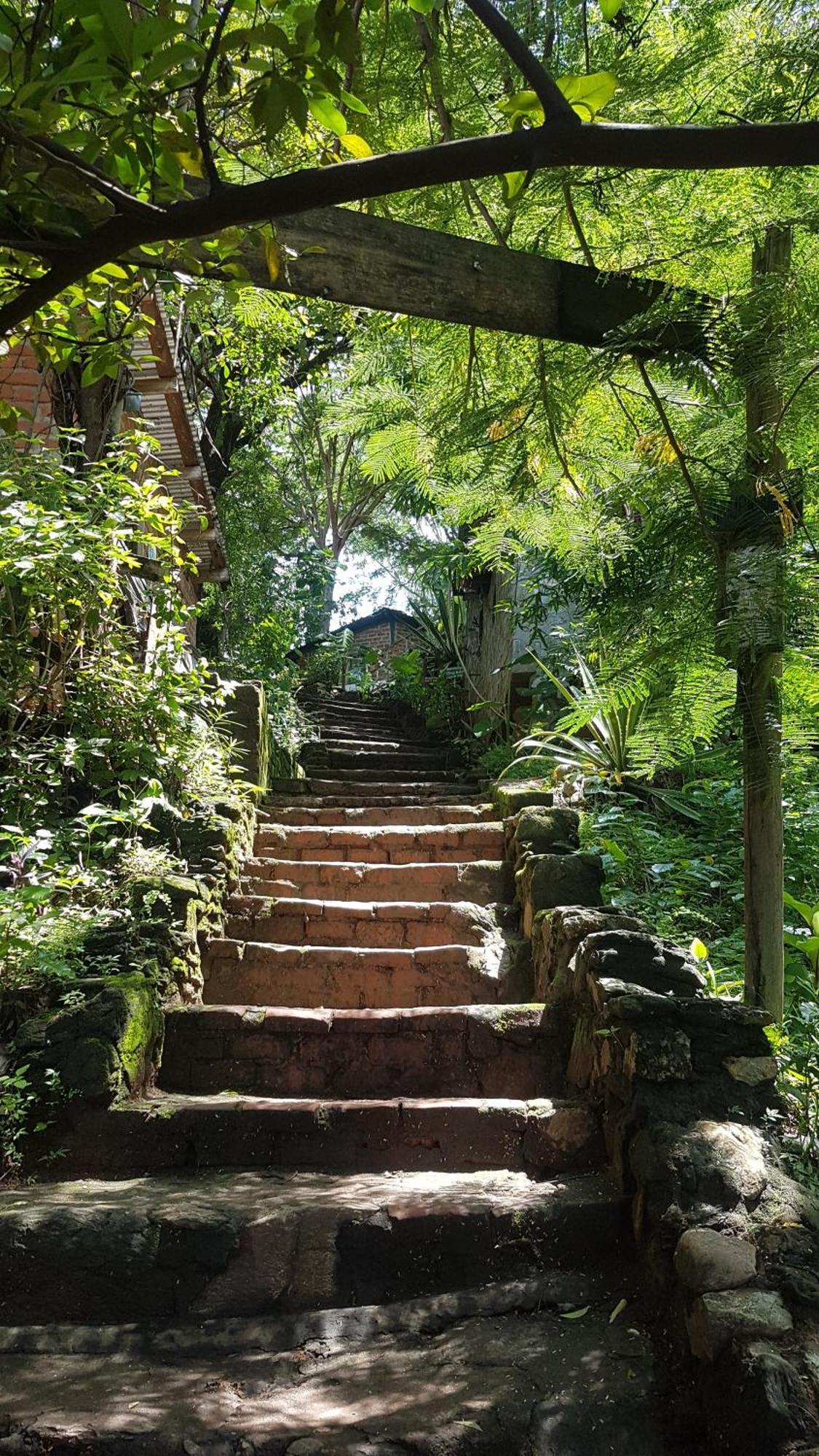 Butterfly Space- A Non-Profit Eco-Lodge Nkhata Bay Esterno foto