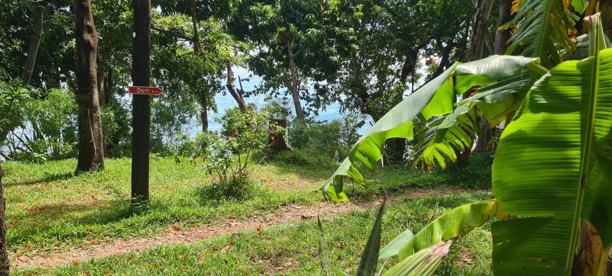 Butterfly Space- A Non-Profit Eco-Lodge Nkhata Bay Esterno foto