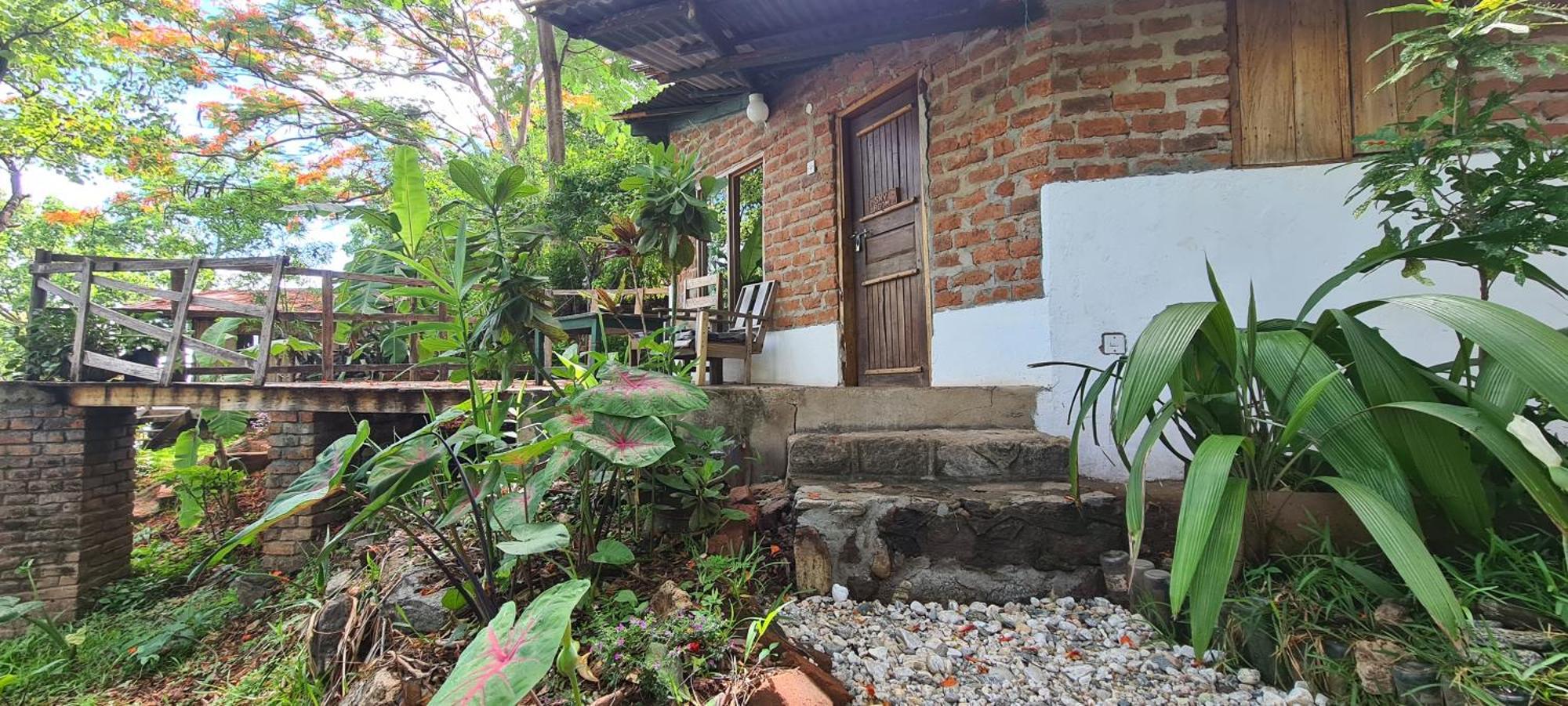 Butterfly Space- A Non-Profit Eco-Lodge Nkhata Bay Esterno foto