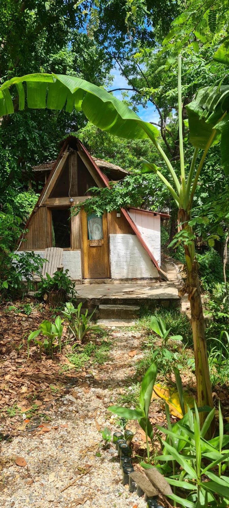 Butterfly Space- A Non-Profit Eco-Lodge Nkhata Bay Esterno foto
